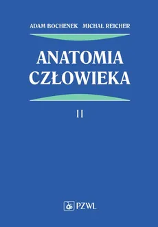 Anatomia człowieka Tom 2 - Outlet - Adam Bochenek, Michał Reicher