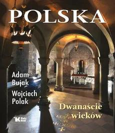 Polska Dwanaście wieków - Outlet - Adam Bujak, Wojciech Polak