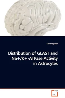 Distribution of GLAST and Na+/K+-ATPase Activity in Astrocytes - Khoa Nguyen