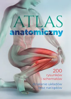 Atlas anatomiczny - Outlet - Justyna Mazurek