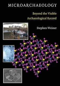 Microarchaeology - Stephen Weiner