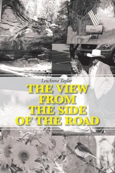 The View from the Side of the Road - LeuAnna Taylor