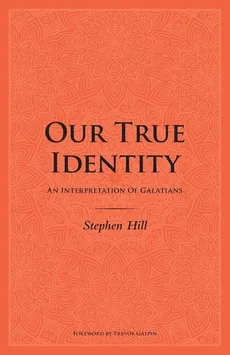 Our True Identity - Stephen Hill