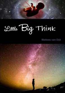 Little Big Think - Dijk Mattees van