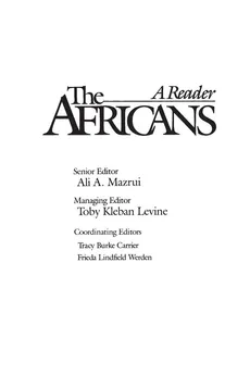 The Africans - Toby Kleban Levine