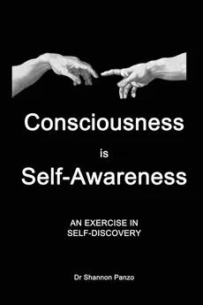 Consciousness is Self-Awareness - Shannon Panzo