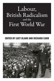 Labour, British radicalism and the First World War