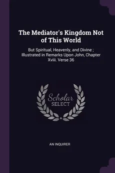 The Mediator's Kingdom Not of This World - An Inquirer