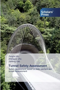 Tunnel Safety Assessment - Pengfei Wu