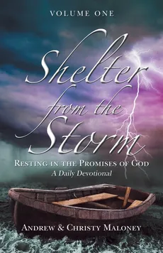 Shelter from the Storm - Andrew Maloney
