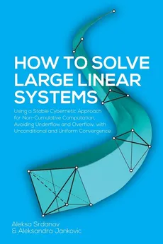 How to Solve Large Linear Systems - Aleksa Srdanov