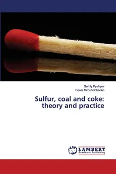 Sulfur, coal and coke - Serhiy Pyshyev