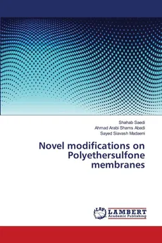 Novel modifications on Polyethersulfone membranes - Shahab Saedi