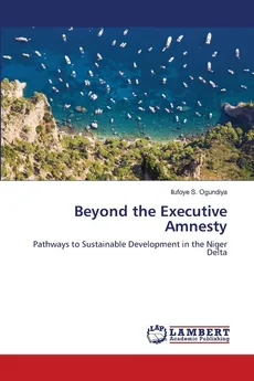 Beyond the Executive Amnesty - Ilufoye S. Ogundiya