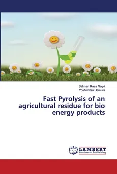 Fast Pyrolysis of an agricultural residue for bio energy products - Naqvi Salman Raza