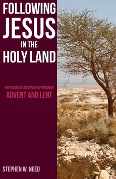 Following Jesus in the Holy Land - Stephen Need