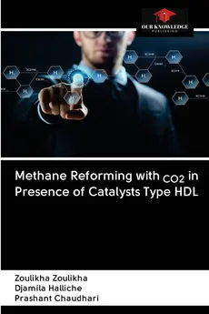 Methane Reforming with CO2 in Presence of Catalysts Type HDL - Zoulikha Zoulikha
