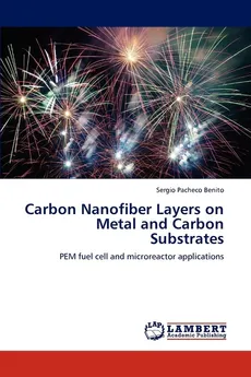 Carbon Nanofiber Layers on Metal and Carbon Substrates - Benito Sergio Pacheco