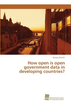 How open is open government data in developing countries? - Emmy Chirchir