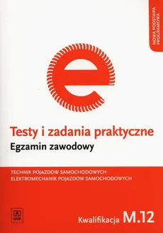 Testy i zadania praktyczne Technik pojazdów samochodowych Elektromechanik pojazdów samochodowych Egzamin zawodowy - Marek Pacion