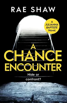 A Chance Encounter - Rae Shaw