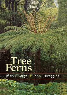 Tree Ferns - Mark F. Large