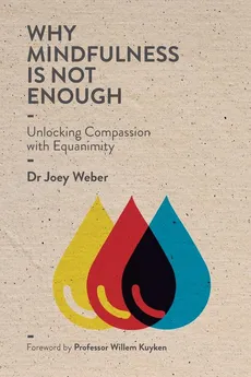 Why Mindfulness is not Enough - Joey Weber
