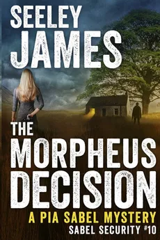 The Morpheus Decision - Seeley James