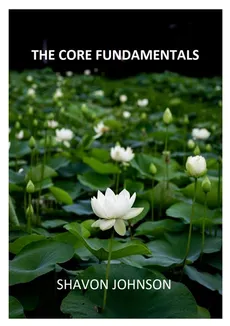 The Core Fundamentals - Shavon Johnson