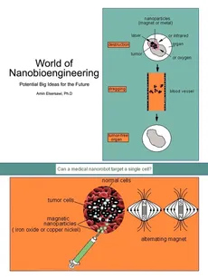 World of Nanobioengineering - Ph.D Amin Elsersawi