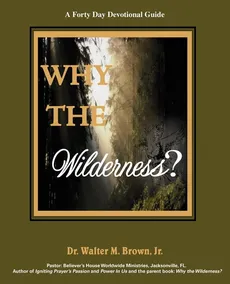 Why the Wilderness - Walter M. Jr. Brown