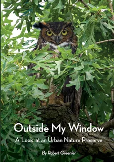 Outside My Window - Robert Greenler
