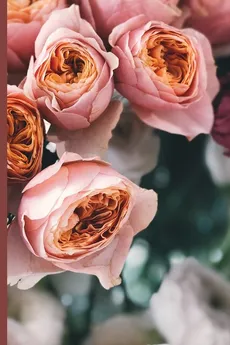 Roses in bloom journal - LeQuita Parker