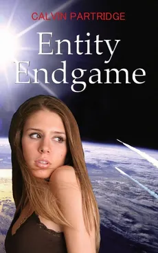 Entity Endgame - Calvin Partridge