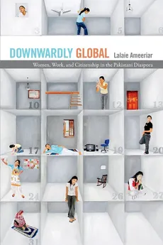 Downwardly Global - Lalaie Ameeriar