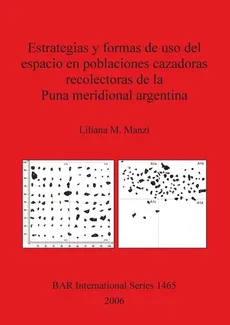 Estrategias y formas de uso del espacio en poblaciones cazadoras recolectoras de la Puna meridional argentina - Liliana M. Manzi