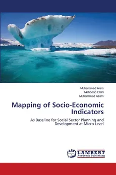 Mapping of Socio-Economic Indicators - Muhammad Alam