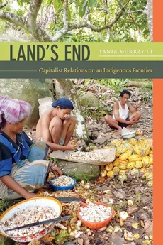 Land's End - Tania Murray Li