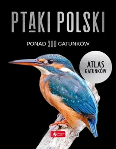 Ptaki Polski. Atlas gatunków - Anna Przybyłowicz, Łukasz Przybyłowicz, Włodarczyk Radosław