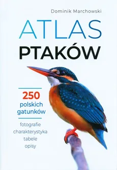 Atlas ptaków - Outlet - Dominik Marchowski