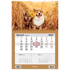 Kalendarz 2024 Jednodzielny Psy