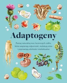 Adaptogeny - Outlet - Melissa Petitto