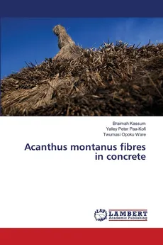 Acanthus montanus fibres in concrete - Braimah Kassum