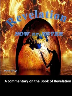 Revelation Now Or Never - Davy St'Cyr