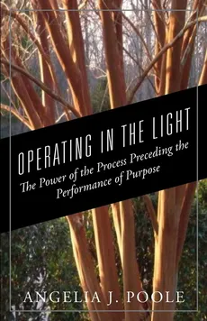 OPERATING IN THE LIGHT - Angelia J Poole