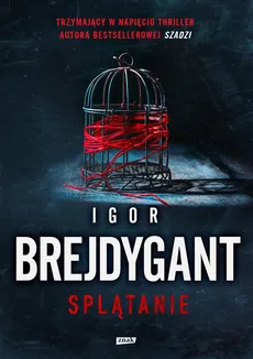 Splątanie - Brejdygant Igor