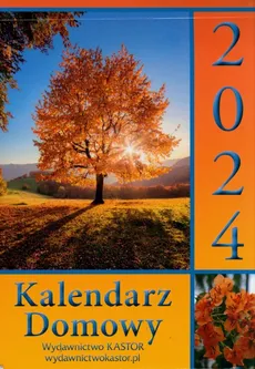 Kalendarz 2024 KL04 Kalendarz domowy - Outlet