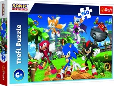 Puzzle Sonic i przyjaciele 160