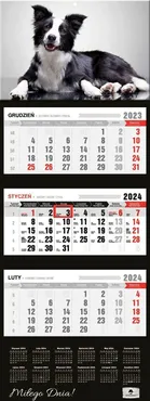 Kalendarz 2024 trójdzielny Pies KT-2 v.46
