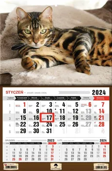 Kalendarz 2024 jednodzielny Kot - Outlet